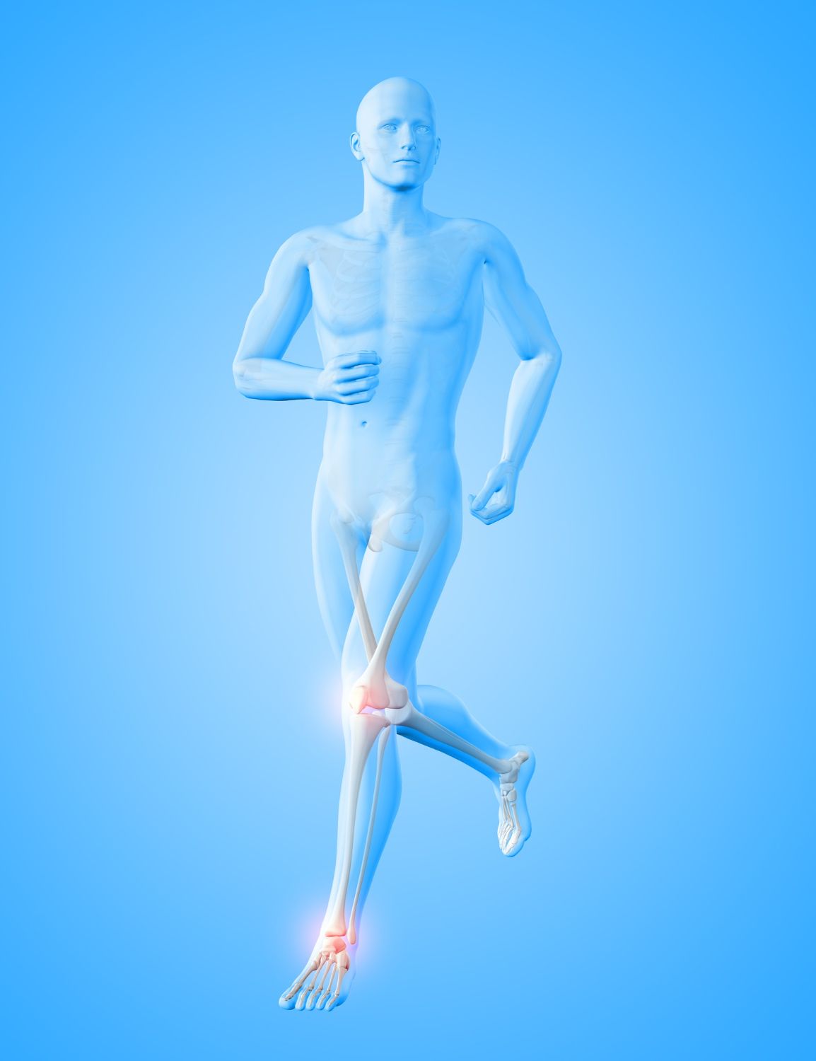 3d-render-male-medical-figure-running-with-knee-ankle-bones-1) -image